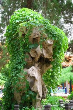 Big rock in garden Stock-Fotos