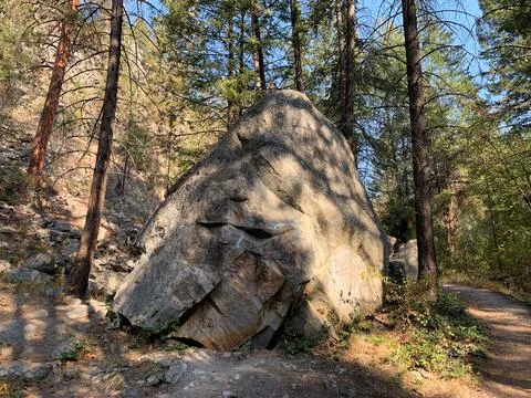 Big rock in woods Stock Photos