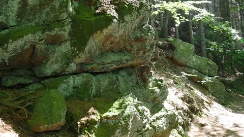 Big rocks and pathway panning in sunny green summer forest hills Harz mountains Stock Footage 111165534