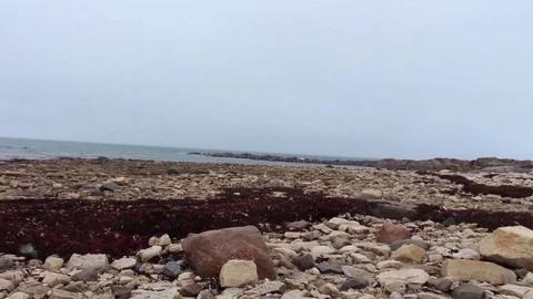 Big rocks on beach Video stock 82123297