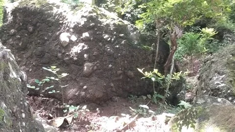 Big rocks in the forest Stock Footage 329241866