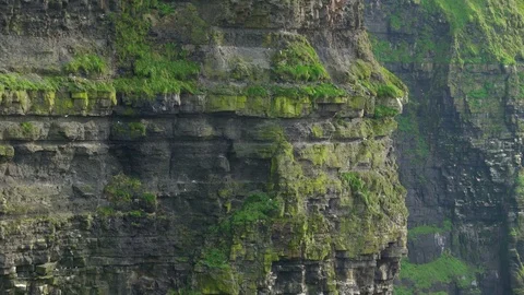 The big rocks on the Moher Cliffs in Ireland in Ireland Stock Footage 74372637