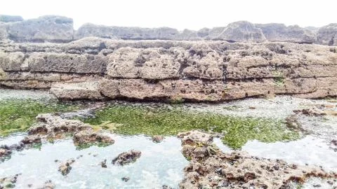 Big Rocks Over Calm Sea with Algae under brighten Sky Stock Photos