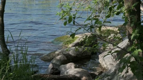 Big rocks on the river shore Stock Footage