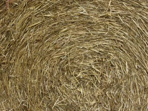 Big roll of hay background Stock Photos