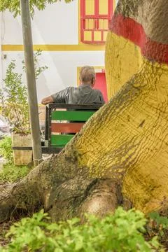 The big root of a tree partially covers a man sitting in a colorful bench Foto stock