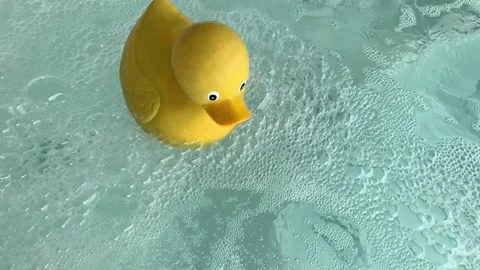 Big Rubber Ducky Floating in Water Slow Motion Stock Footage 223040227