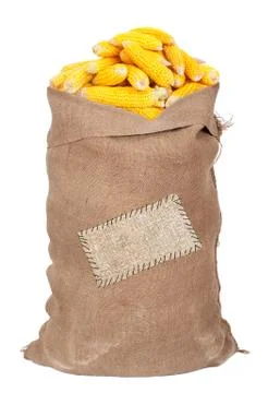Big sack of corn cobs Stock Photos
