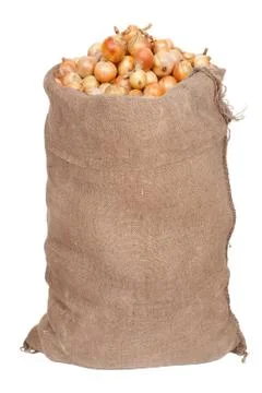 Big sack with onions Stock Photos