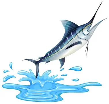 A Big Sailfish on White Background Stock Illustration