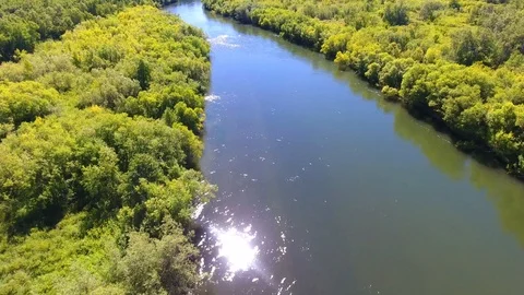 Big salmon caught on spinning. Salmon fishing by means of spinning on the river Stock Footage 119960689