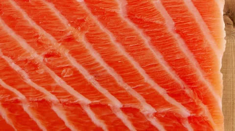 Big salmon fillet 库存影片 24427987