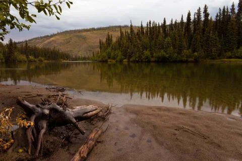 Big salmon river Foto stock
