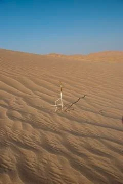 A big sandy dune Stock Photos