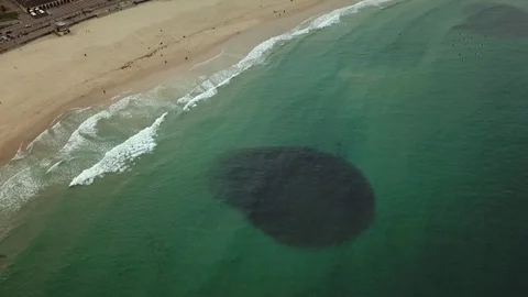 Big school of fish Stockbeeldmateriaal 82547570