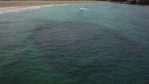 Big school of fish Stockbeeldmateriaal 82551002