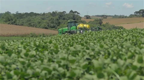 Big self-propelled pulverizing beatiful soybean plantation Vídeo Stock 60908872
