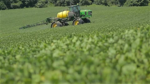 Big self-propelled pulverizing beautiful soybean plantation Vídeo Stock 60905590
