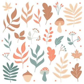 Big set of Autumn elements - mushrooms and plants - on a white background Illustrazione stock
