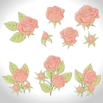 Big set of a beautiful colored roses. Vector illustration Illustrazione stock