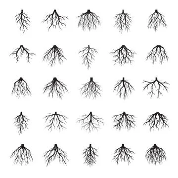 Big set of Black Roots Tree. Vector Illustration. Stock Illustration