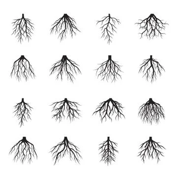 Big set of Black Roots Tree. Vector Illustration. Stock Illustration