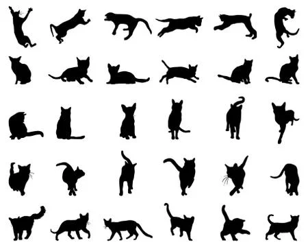 Big set of cats silhouettes Stock Illustration