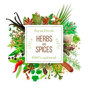 Big set Culinary herbs and spices under squire emblem Stock Illustration