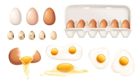 Big set of different eggs vector illustration on white background Stock Illustration