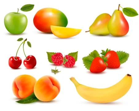 Big set of different fresh fruit and berries. vector. Stock Illustration