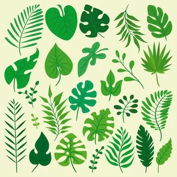 Big set of different leaves. Stock Illustration