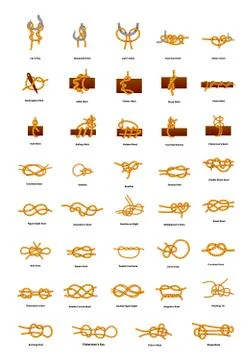 Big set of different sea knots on white Stock Illustration