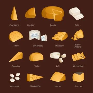Big set of different types of cheeses with names on a brown background. Vecto Stock Illustration