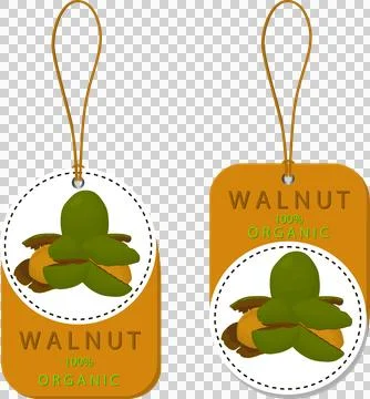 Big set different types walnut in nutshell Stock Illustration