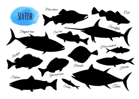 Big set of fish silhouettes. Stock Illustration