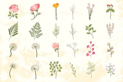 Big set with floral elements. Stock Illustration