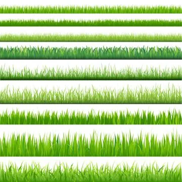 Big set grasses Stock Illustration