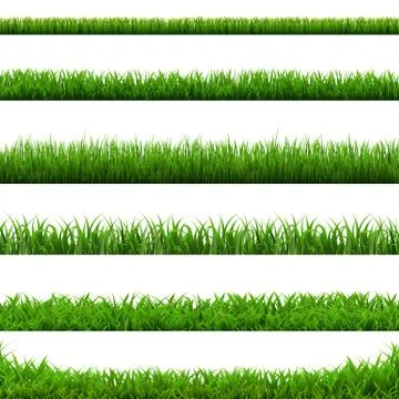 Big Set Green Grass Borders White Background Stock Illustration