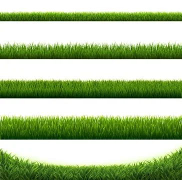 Big Set Green Grass Borders White Background Illustrazione stock
