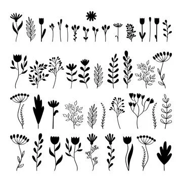 Big set of hand drawn flowers. Floral collection. Doodle style. A sketch fo.. Stock Illustration