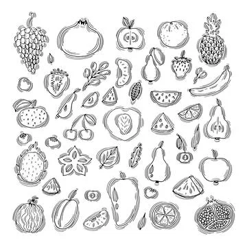 Big set of hand drawn fruit and berries icons. Summer fruit collection. Ske.. Stock Illustration