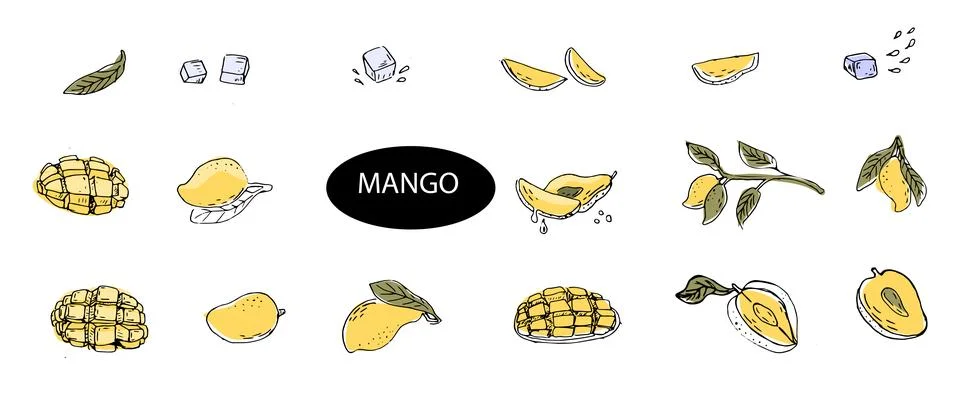 Big set of Hand drawn Mango fruit in sketch イラスト素材