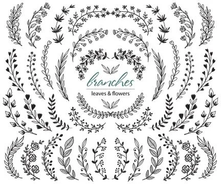 Big set of hand drawn vector plants and branches with leaves, flowers, berries Stock Illustration