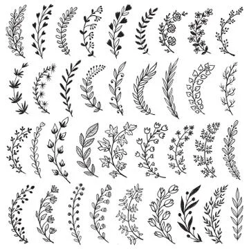 Big set of hand drawn vector plants and branches with leaves, flowers, berries Stock Illustration