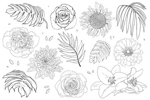 Big set of hand-drawn vector floral and leaf elements illustrations includi.. Stock Illustration