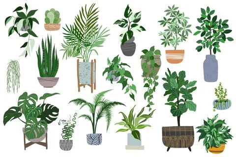 Big set of home plants in pots, scandi style Stock Illustration