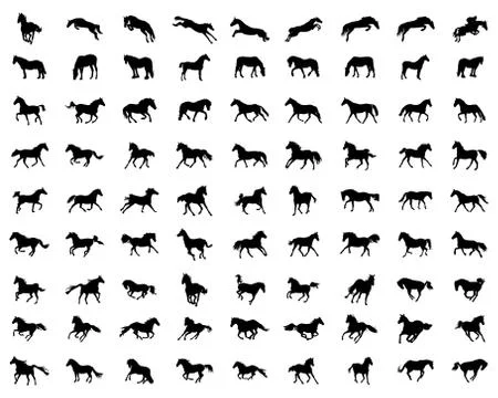 Big set of horses silhouettes Stock Illustration