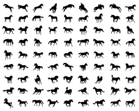 Big set of horses silhouettes Stock Illustration