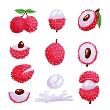Big set if of lychee - tropical fruit. Modern textured style illustrstion. Su Stock Illustration