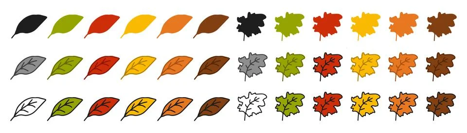 Big Set of leaf icons featuring colored illustrations, black silhouette, blac Stock Illustration